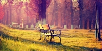 Lorem ipsum dolor sit amet